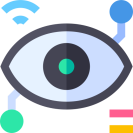 Security Surveillance Icon